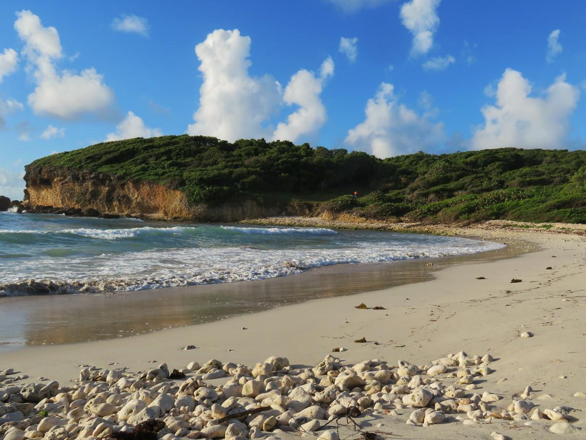 Kaz Zen Villa Sainte-Anne  Dış mekan fotoğraf